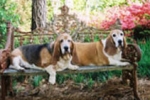 abby_and_kaylee