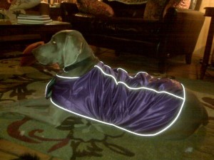 ThorAsher