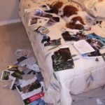 TobyCurtisReading